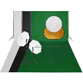vidaXL Fotostudioset met verlichtingsset achtergrond en reflector