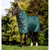 Horseware Amigo Ripstop 900D Plus Pony Turnout Deken Dynasty Green
