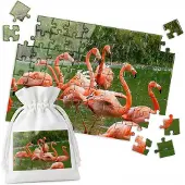 WORLD CASE 70-delige Puzzel: Flamingo's in Water, Roze Vogels
