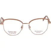 Ana Hickmann Optical Frame HI1244 D01 52