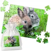 WORLD CASE Traditionele Puzzel: Twee Konijnen op Gras - 70 Stukjes