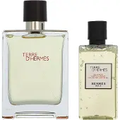 Hermès Paris Hermes Terre d'Hermes Geschenkset: Eau de Toilette 100 ml / Douchegel 80 ml, totaal 180 ml