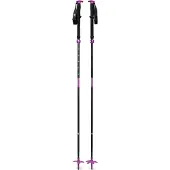 Black Diamond Expedition Stokken