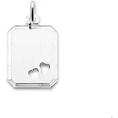 The Jewelry Collection Zilver Gerhodineerde Graveerhanger hartjes gediamanteerd 1304634