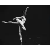 Wandkraft Schilderij - ballerina - Collectie Moves - Dibond wit - 118x70cm