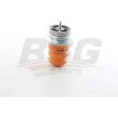 BSG 25-700-135 Veerpootlager