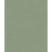SPITS WALLCOVERINGS Spits A70106 behang Omura Varadero Uni groen - 53 x 1005 cm