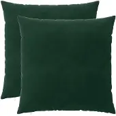 vidaXL Kussensloop 2 st HEERLEN Donkergroen 65 x 65 cm fluweel