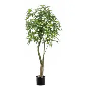 Green Boutiq Kunstplant - Pachira Aquatica - Geldboom - 180 cm