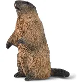 Collecta Figurine - Marmot - (S) - Wilde Dieren - Handgeschilderd - Miniatuur