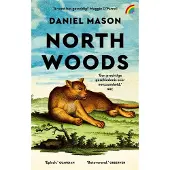 Rainbow North Woods (Paperback)
