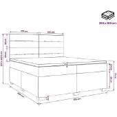 vidaXL Boxspringbed met matras Zwart 200 x 200 cm Fluweel