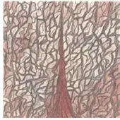 Konkurrent Skullflower - Kino III: Xaman (CD) (Remastered)