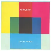 Firedoom Electric Hawaii