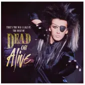 Sony music That's The Way I Like It: The Best Of