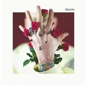POLYDOR BLOOM