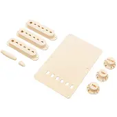 Fender Stratocaster Accessory Kit Aged White