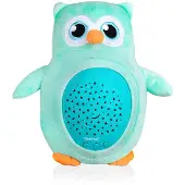 Baninni Projectorlamp Owl mint