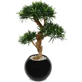 Maxifleur Kunstplanten Podocarpus Kunstbonsai Deluxe x3 65cm op voet