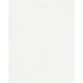 Dutch Wallcoverings Vliesbehang uni wit behang (vliesbehang, wit)