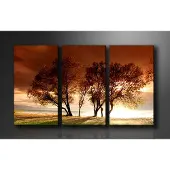Karo-art Schilderij Natuur (160x90cm)