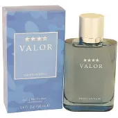 Dana Valor Eau De Toilette Spray 100 ml