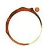 Cd Corymb