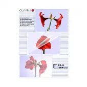 Olympia 1x100 Olympia Laminating pouches DIN A4 125 micron 9