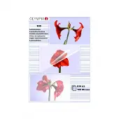 Olympia Lamineerfolies A5 125 micron (2 x 125)
