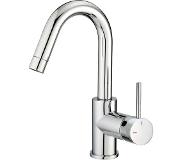 Xenz Duero gebogen wastafelmengkraan 26 cm inox