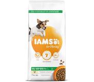IAMS Dog Adult Small/Medium Kip 12 kg 1 - 7 Jaar