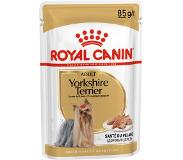 Royal Canin Bhn Yorkshire Terrier Adult Pouch - Hondenvoer - 12x85 g