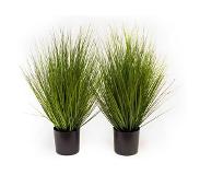 Nova Nature Kunst King Festuca incl pot - 60 cm