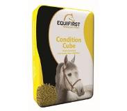 EquiFirst condition cube (20 KG)