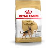 Royal Canin German Shepherd Adult - Hondenvoer - 11 kg