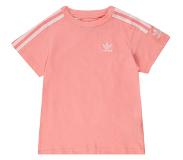 Adidas Shirt