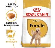 Royal Canin Hondenvoer BHN poodle adult 7,5 kg Royal Canin online kopen