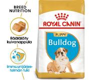 Royal Canin Bulldog Junior - Hondenvoer - 12 kg