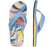O'Neill Slippers Arch Graphic Sandals - Blauw Bruin - 43