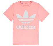 Adidas Shirt