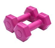 XQ Max dumbbell 0,5 kg cement 2 stuks roze