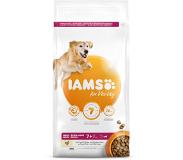 IAMS For Vitality Senior Dog - Large Breed - 3 kg