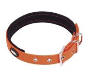Nobby - Honden Halsband - Cover - Oranje - 45 tot 55 cm - 2,5 cm breed