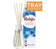 Robijn 6x Robijn Home Geurstokjes Morgenfris 45 Ml