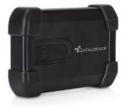 DataLocker H300