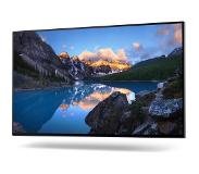 Dell UltraSharp U2422HWOS