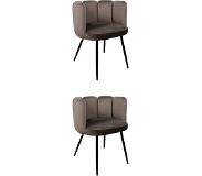 Polewolf | Set van 2 eetkamerstoelen Jupiter fluweel grijs 60x75x53 cm eetkamerstoelen | NADUVI