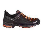 Salewa Heren MTN Trainer 2 GTX schoenen (Maat 44.5)