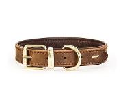 Ezydog Oxford Premium Leren Hondenhalsband - Halsband voor Honden - 55/65cm - Bruin