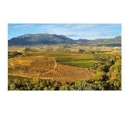 Wijnvoordeel 6 flessen | Los Nobles Rioja DOCa Gran Reserva | Rood | Spanje